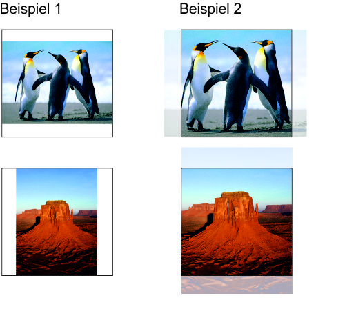 beispiel-cover.jpg